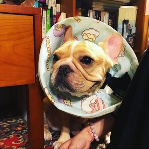 Meet your Posher, Wanyin